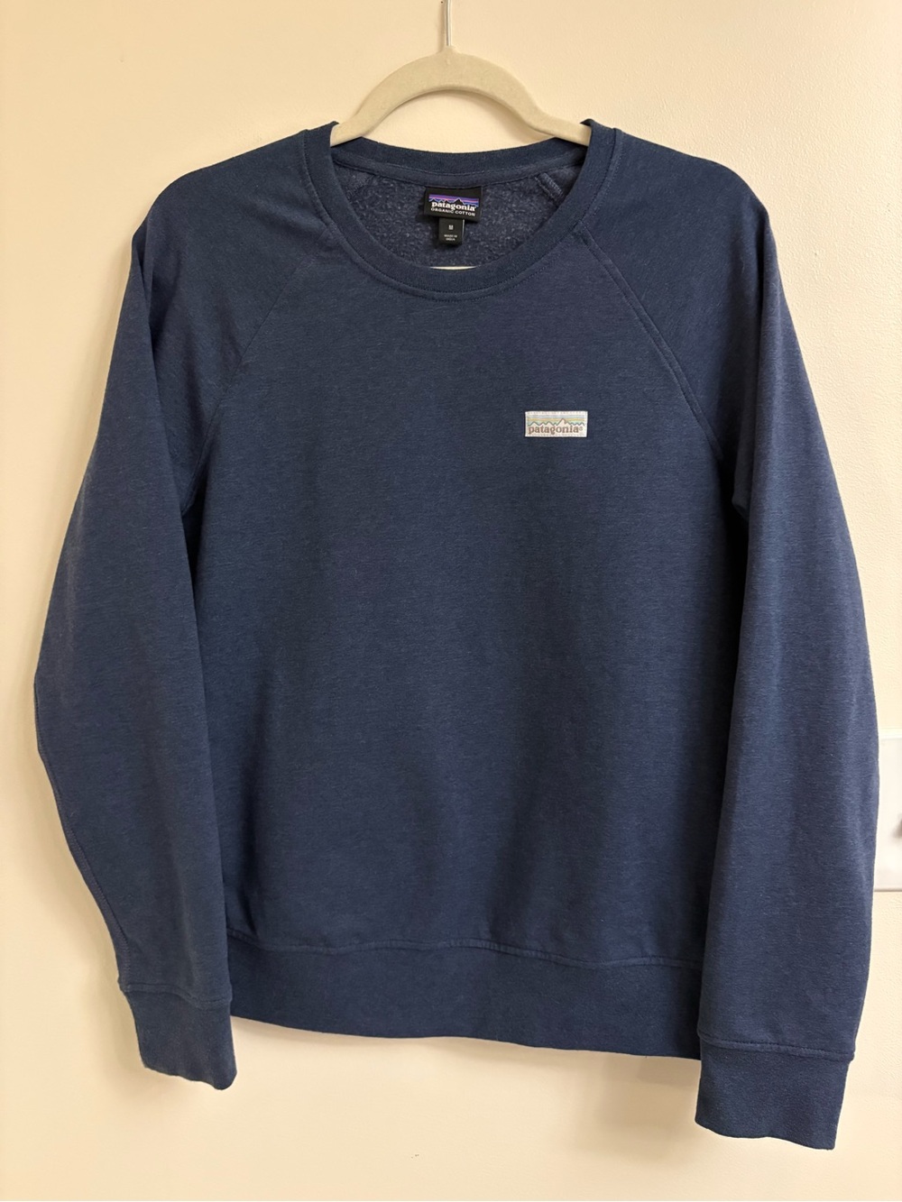 Patagonia Ahnya Crew Sweatshirt M Pastel P6 Label Organic Cotton Fleece Pullover